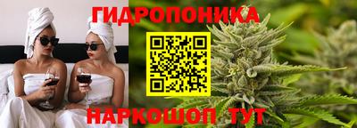 прущие грибы Канаш