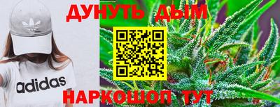 прущие грибы Канаш