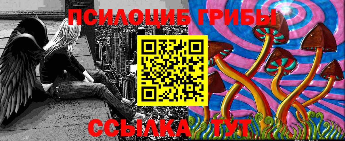Лениногорск  Псилоцибиновые грибы Cubensis  Галлюциногенные грибы Psilocybine cubensis  Вход с VPN 